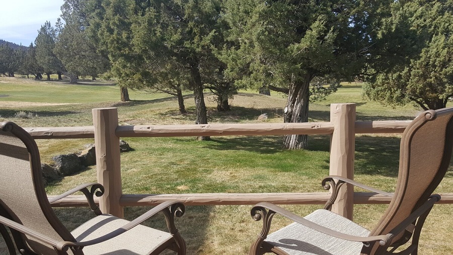 View from the back deck of Eagle Crest Luxury Chalet Rental