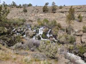 Hike near Eagle Crest, Central Oregon