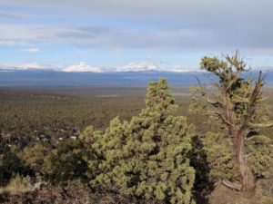 Hike in Eagle Crest Central Oregon