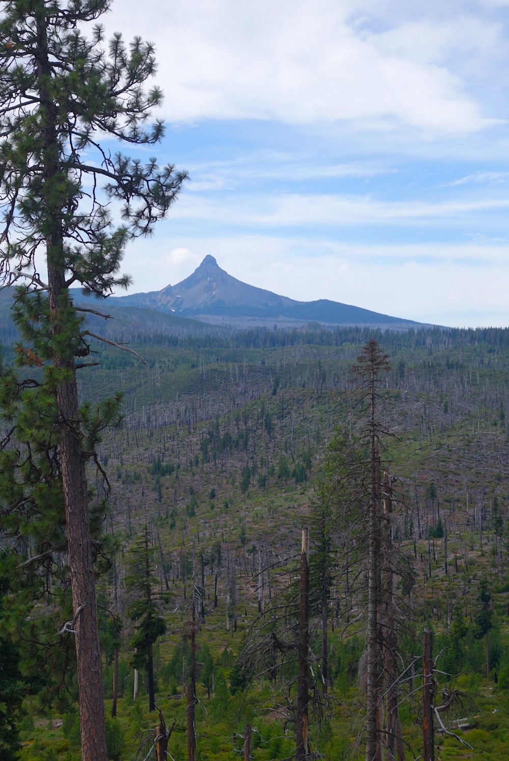 Portland to Bend, Oregon: Two Scenic Routes to Drive – Around the World L