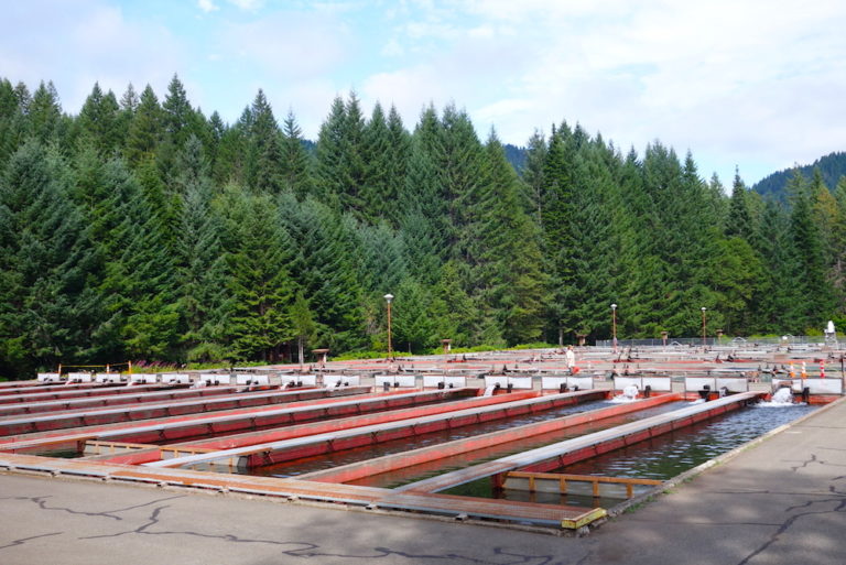 Scenic Drives to Central Oregon Portland to Bend