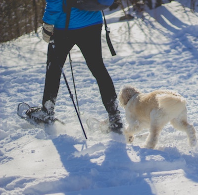 Things to do in Central Oregon in Winter | Roam Redmond Oregon