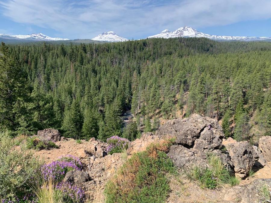 views of mountains and forest from Wychus Creek Overlook