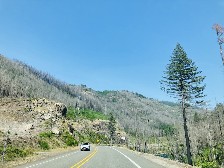 fire damage on road from Salem to Central Oregon